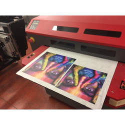 Stampante UV Led flatbed usata Beled 600 600×450