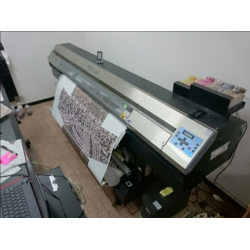 Plotter sublimatico Roland SJ-645 luce 160 cm